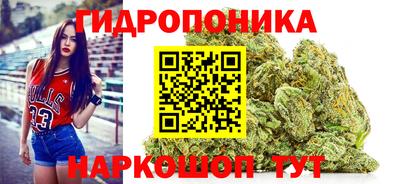 PSILOCYBIN Канаш
